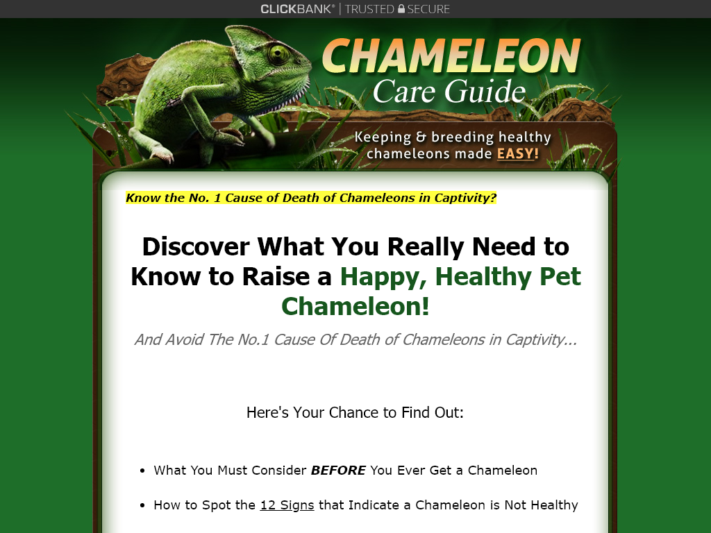 Chameleon Care Guide Review