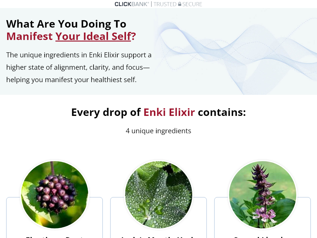 Enki Elixir Review