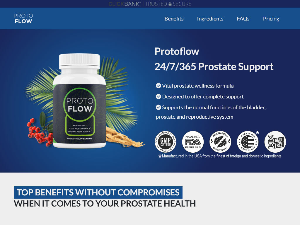 Protoflow Review