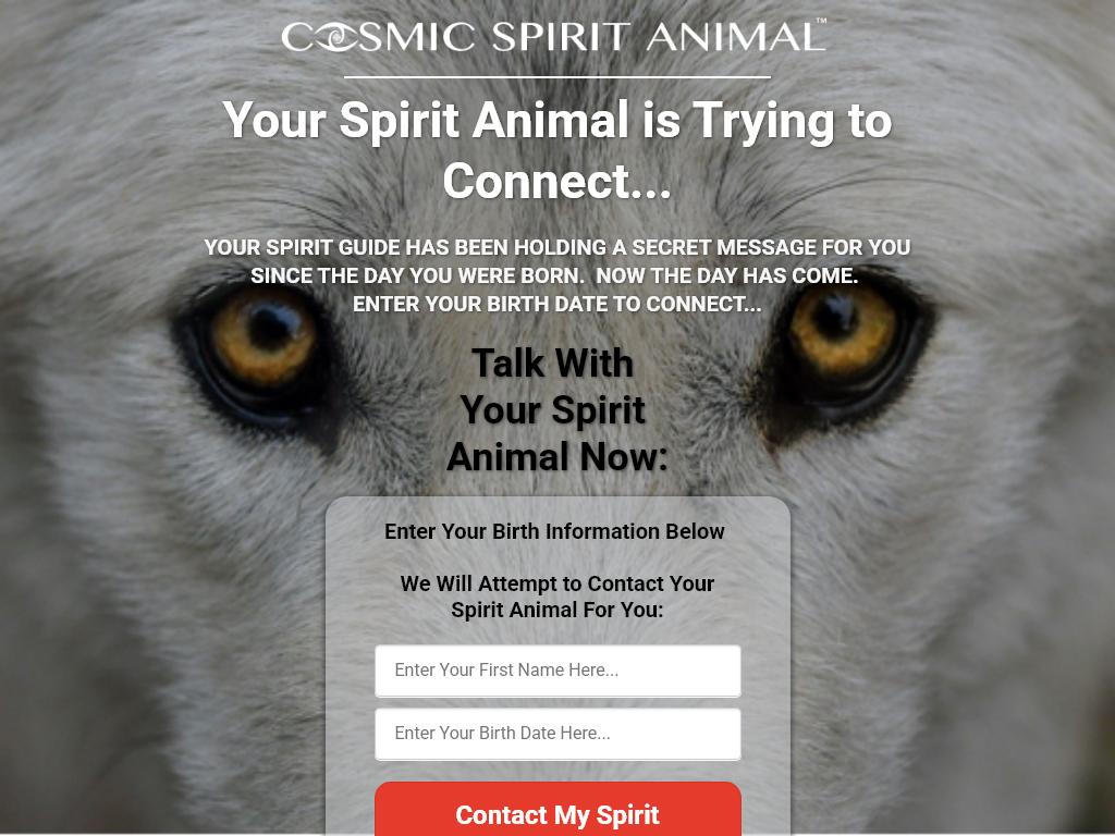 Cosmic Spirit Animal Review