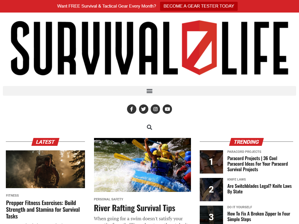 Concealed Carry Loophole Review