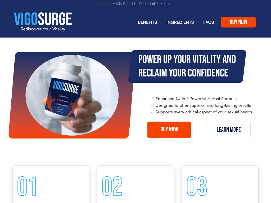 VigoSurge Review