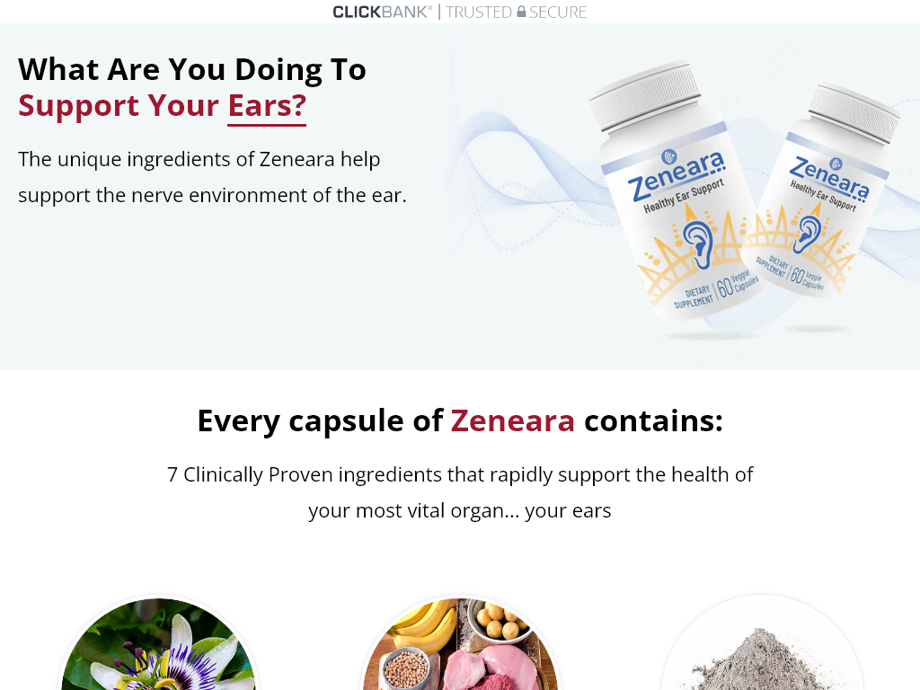 Zeneara Review
